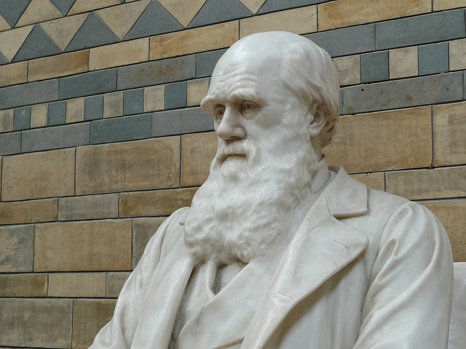 Ce que Darwin apporte(ra) à la Psychologie